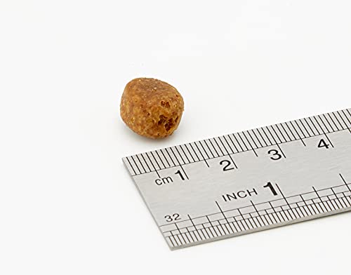 Comida para Perros Natural Trainer Sensitive No Gluten