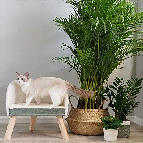 Cómodo Minimalista elegante, camada for gatos for mascotas, linda cama for mascotas, estructura de gato, árbol de gato de madera maciza de lujo, columna for rascar el gato, poste for rascar el gato su