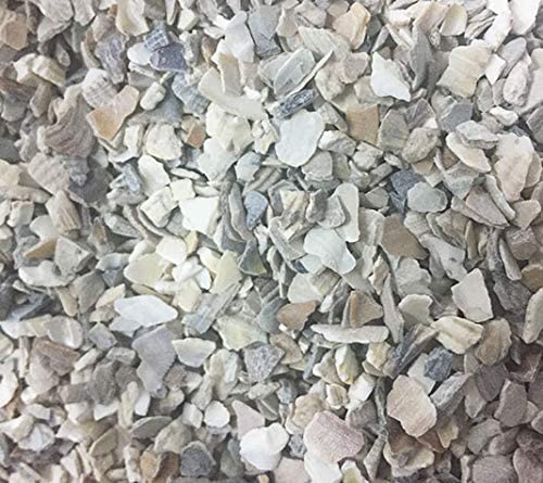 Conchilla de ostra 10kg + Pienso para gallinas Camperas y ponedoras 10kg