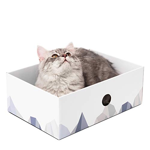 Conlun - Alfombrillas rascadoras para Gatos, Poste rascador para Gatos, rascador portátil de cartón Corrugado para Gatos con Caja para rascar Gatos y diseño de Orificio Interactivo - Medio - Blanco