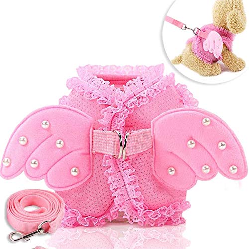 Correa de Adiestramiento para Perros Angel Princess Wing Dog Pam Straptraction Dog Traction Cuerda Gatito Gatito Gatito Gato for Tirar Sistema de Cuerdas Correa de Pecho Perrito Perrito Correa Perro