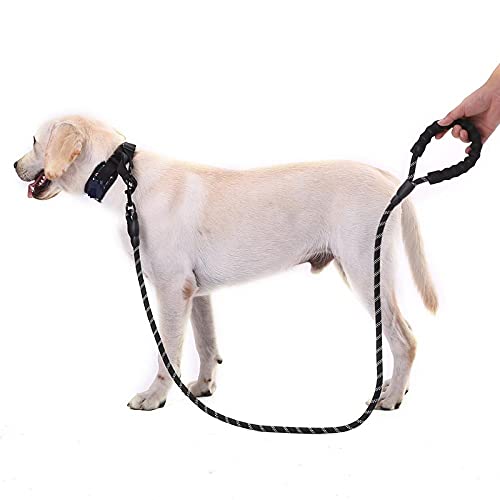 Correa De Nailon para Perros Correa De Perro Verde para Correr Caminar Entrenar para Gatos Grandes Y Pequeños Correas para Mascotas Correa De Nailon Duradera Reflectante para Perros