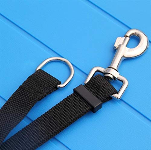Correa de perro, Correa de nylon perro Paseo seleccionada del animal doméstico del correo del plomo for el Adiestramiento de perros Perros Gatos arnés de seguridad exterior Tamaño 1,5M 1,8M 3M 6M 10M