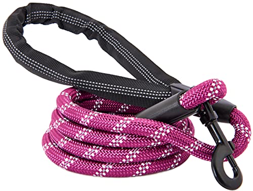 Correa de perro fuerte, cuerda reflectante, paracord resistente a la masticación para perros medianos y grandes, cierre de metal duradero, se adhiere al collar de mascotas (paquete de 1,52 m, púrpura)