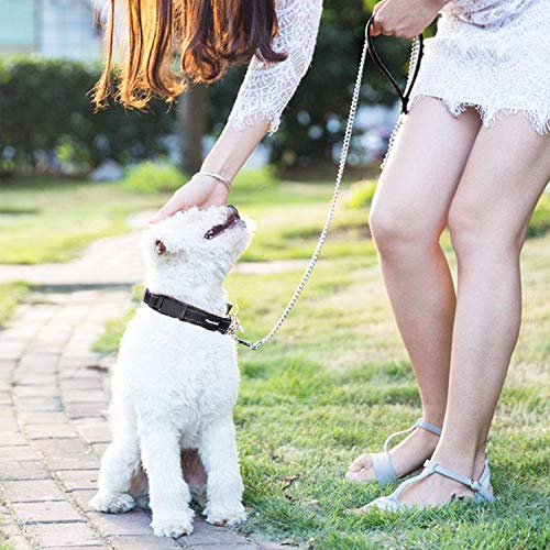 Correa para Perro, de Acero, Correa del Perro Resistente, Mango de Piel sintética para Perro, 120 cm