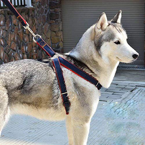 Correas para Perros y Correa para el Pecho para Perros y Collar para Perros Traje de Tres Piezas, Material de Mezclilla, Adecuado para Perros y Gatos pequeños y medianos (Rosa, S)