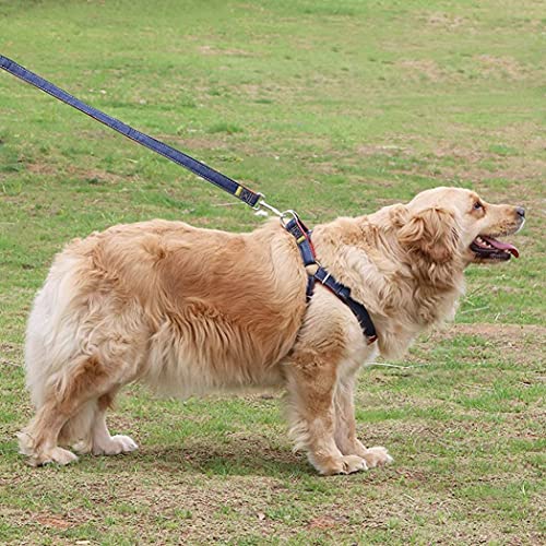 Correas para Perros y Correa para el Pecho para Perros y Collar para Perros Traje de Tres Piezas, Material de Mezclilla, Adecuado para Perros y Gatos pequeños y medianos (Rojo, S)