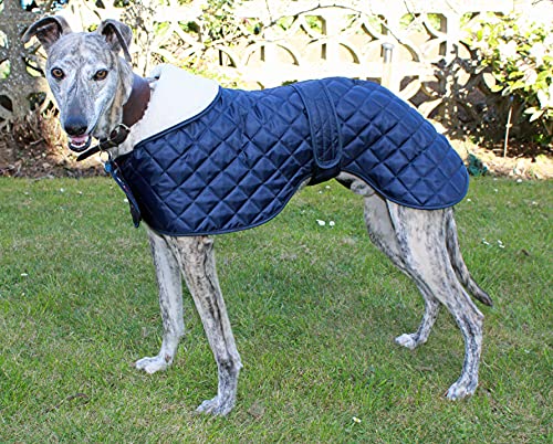Cosipet - Anorak para Galgo, Azul