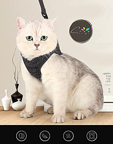 Crea CLEA - Arnés para gatos ultraligero y cómodo, con correa, bolsa de regalo incluida y un colorido juego de regalo (M, negro)