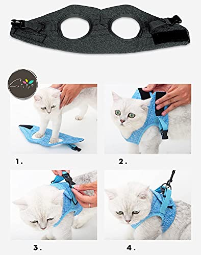 Crea CLEA - Arnés para gatos ultraligero y cómodo, con correa, bolsa de regalo incluida y un colorido juego de regalo (M, negro)