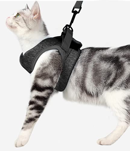 Crea CLEA - Arnés para gatos ultraligero y cómodo, con correa, bolsa de regalo incluida y un colorido juego de regalo (M, negro)