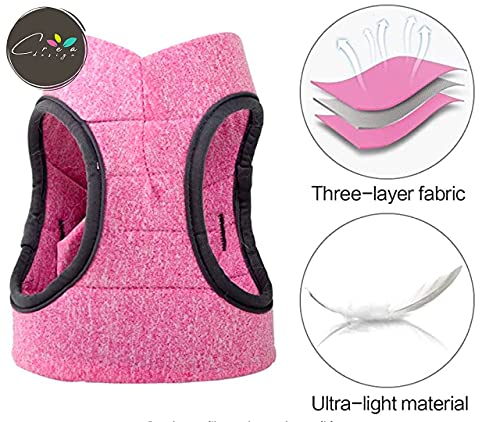 Crea CLEA - Arnés para gatos ultraligero y cómodo, con correa, bolsa de regalo incluida y un colorido juego de regalo (M, rosa)