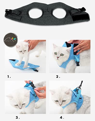 Crea CLEA - Arnés para gatos ultraligero y cómodo, con correa, bolsa de regalo incluida y un colorido juego de regalo (M, rosa)