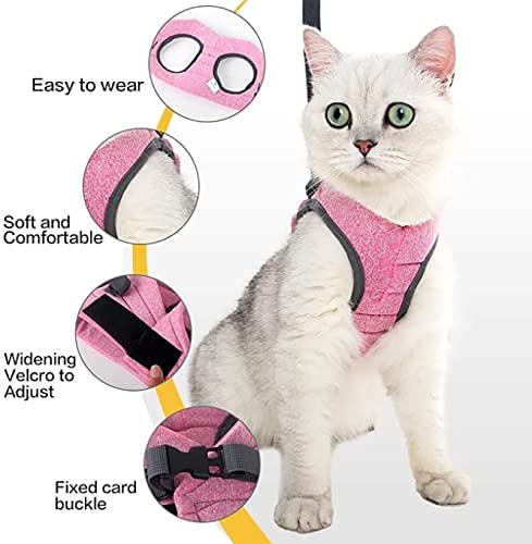 Crea CLEA - Arnés para gatos ultraligero y cómodo, con correa, bolsa de regalo incluida y un colorido juego de regalo (M, verde)