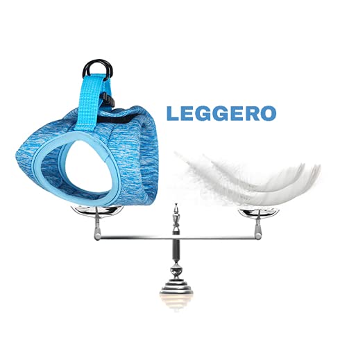 Crea CLEA - Arnés para gatos ultraligero y cómodo, con correa, bolsa de regalo incluida y un colorido juego de regalo (M, verde)