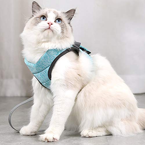 Crea CLEA - Arnés para gatos ultraligero y cómodo, con correa, bolsa de regalo incluida y un colorido juego de regalo (S, verde)