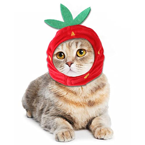 Creativo Vestido de Cabeza Gato Gato Soseas De Fresa Mascotas Suministros Divertidos Gato Vacaciones Decoración De La Decoración De La Cabeza Sombrero De Mascota Regalo Gato De Sombrero De Masco