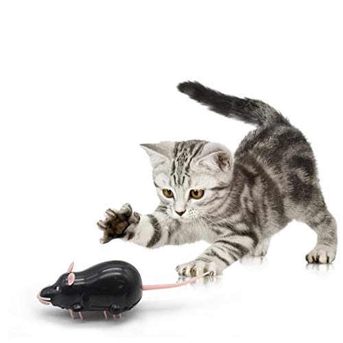 Csheng Raton teledirigido para Gatos Juguete pez para Gato Juguetes Juguetes de Gato para Gatos de Interior Juguete de Gato antwhite