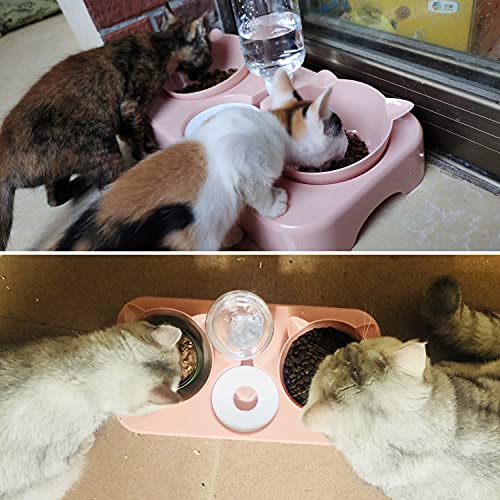 Cuenco del Gato Doble Tazón,Cuenco Doble para Mascotas,15°Inclinación Tazón de Alimentación para Gatos,Comederos Gatos Elevado 3 en 1 con Bebedero Automático,Antideslizante, para gatos perros(Rosa)