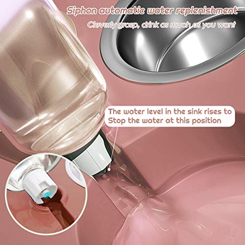 Cuenco del Gato Doble Tazón,Tazón de Alimentación para Gatos 3 en 1Comederos Gatos Elevado de Acero Inoxidable con Bebedero Automático,Se Puede Utilizar para Gatos y Cachorros (Rosa)
