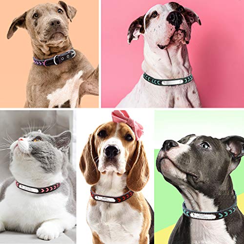 Custom4U Personalizado Collar ID para Perros Correas Educativa PU para Mascotas Talla S Color Violado Placa de Identificación con Nombres y Teléfonos Grabados