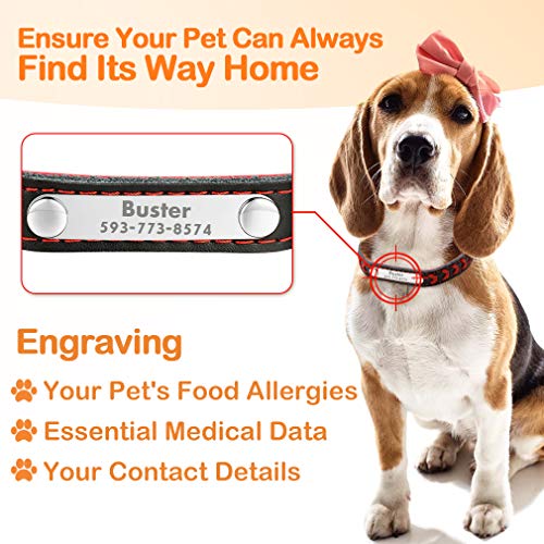 Custom4U Personalizado Collar ID para Perros Correas Educativa PU para Mascotas Talla S Color Violado Placa de Identificación con Nombres y Teléfonos Grabados