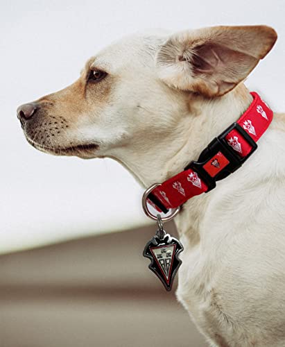 CYP BRANDS - Albacete Balompié - Chapa Identificativa para Perro