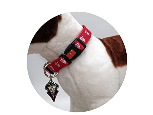 CYP BRANDS - Albacete Balompié - Chapa Identificativa para Perro