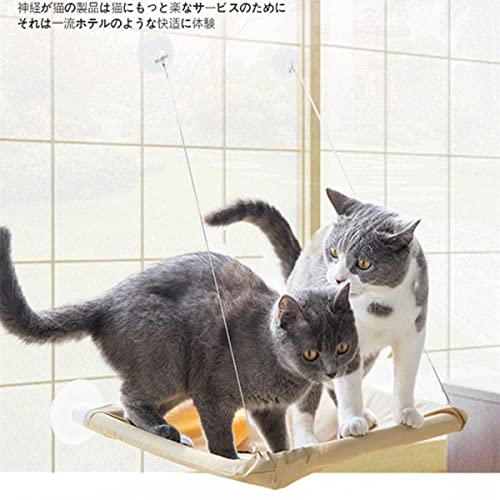 DABOLUO Casa Colgante de Mascotas Hamaca de Gato Silla Mecedora Casa Sala de Estar Ventana Venta de succión Copa de Asiento Colgante de Pared for 20kg Cat Hammock-Tea Brown Estados Unidos BBGSFDC