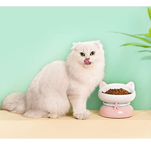 DanLink Cuencos para Mascotas para Gatos, Cuenco de cerámica Elevado para Gatos, protección Oblicua para la Columna Vertebral, antivómitos, Cuenco de Comida para Gatos (Naranja)