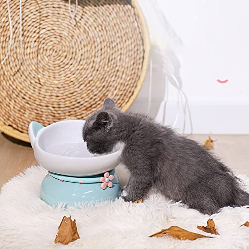 DanLink Cuencos para Mascotas para Gatos, Cuenco de cerámica Elevado para Gatos, protección Oblicua para la Columna Vertebral, antivómitos, Cuenco de Comida para Gatos (Naranja)