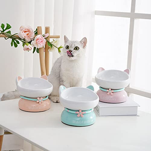 DanLink Cuencos para Mascotas para Gatos, Cuenco de cerámica Elevado para Gatos, protección Oblicua para la Columna Vertebral, antivómitos, Cuenco de Comida para Gatos (Naranja)
