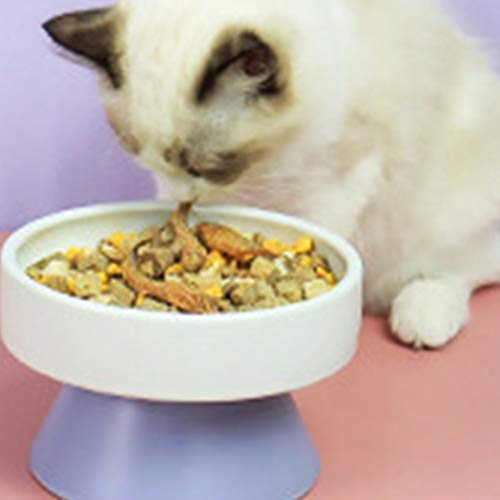Dashun Tazón de alimentación de agua para mascotas para perros, gatos, dispensador de agua de contenedor de comida lenta alimentador taza plato, gatito cachorro alimentos agua leche leche pote