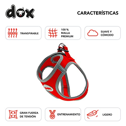 DDOXX Arnés Perro Reflectante Forrado | Muchos Colores | Arnés Perro Pequeño y Arnés Perro Mediano | Arnés para Cachorros | Arnés Gatos | Naranja, S