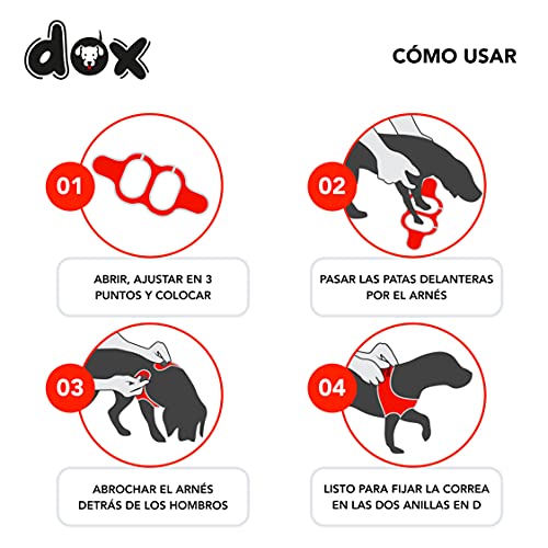 DDOXX Arnés Perro Reflectante Forrado | Muchos Colores | Arnés Perro Pequeño y Arnés Perro Mediano | Arnés para Cachorros | Arnés Gatos | Naranja, S