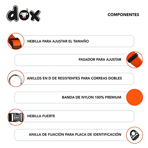 DDOXX Collar Perro Nylon, Ajustable | Muchos Colores & Tamaños | para Perros Pequeño, Mediano y Grande | Collares Accesorios Gato Cachorro | Naranja, S