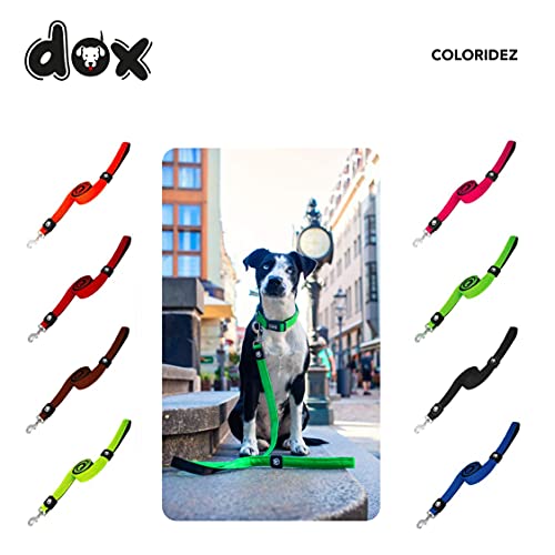 DDOXX Correa Perro Air Mesh, Acolchado, Lazo de Mano, 120 cm | Muchos Colores & Tamaños | para Perros Pequeño, Mediano y Grande | Accesorios Gato Cachorro | Negro, M