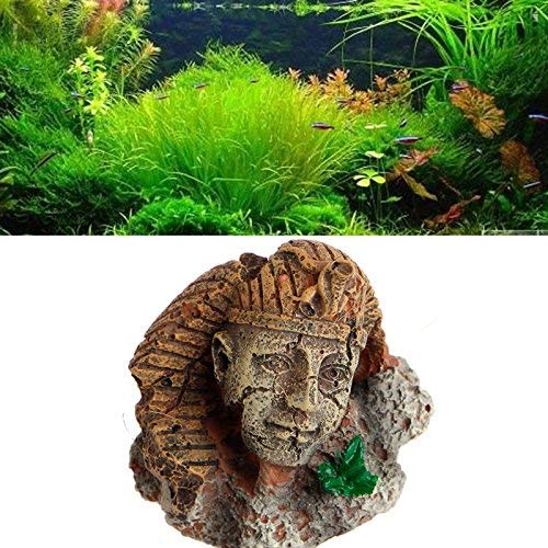 Decoración de acuario con ruina antigua de faraón egipcio de