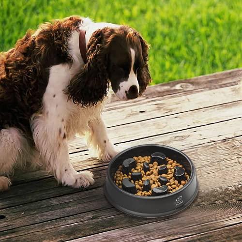 Decyam Comedero Perro Gato, Antideslizante Alimentacion Plato alimentador Tazon Comedero para Mascotas Bebedero Cuenco Bol Recipiente (Black Flower)