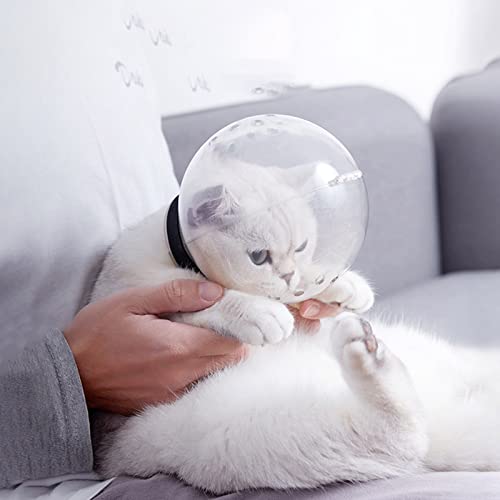 DERCLIVE Capucha para gatos con 12 agujeros transpirable transparente gatito anti mordedura hocico evita que los gatos muerdan masticar para el baño de gato