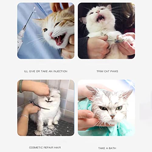 DERCLIVE Capucha para gatos con 12 agujeros transpirable transparente gatito anti mordedura hocico evita que los gatos muerdan masticar para el baño de gato