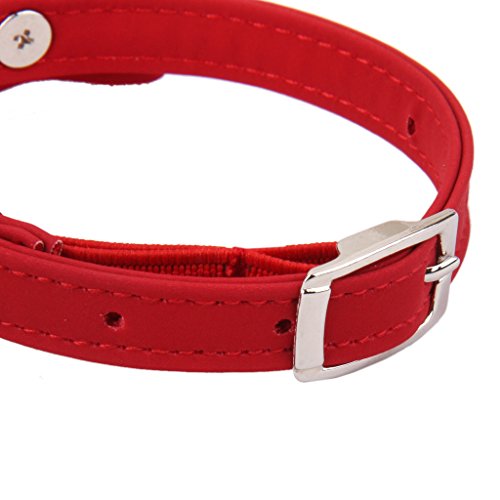 Desconocido Collar de Terciopelo Ajustable para Gato, con Cascabel