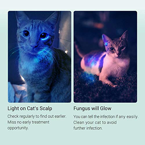 Detector de orina para mascotas, luz de mano, color negro, luz UV de 365 nm lámpara de madera para detectar tiña de gato, anormalidad de la piel, FWA, falsificación