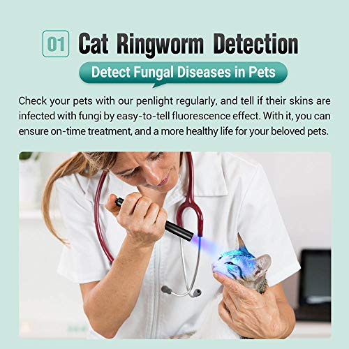 Detector de orina para mascotas, luz de mano, color negro, luz UV de 365 nm lámpara de madera para detectar tiña de gato, anormalidad de la piel, FWA, falsificación
