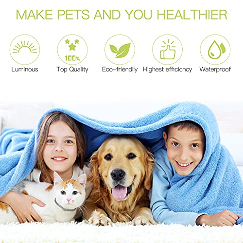 DEWEL Collar Antiparasitos Perro Gato, Collar Antiparasitario Fluorescente contra Pulgas, Garrapatas y Mosquitos para Perros Grandes Medianos Pequeños