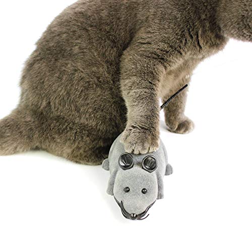 DHGTEP Ratones Electrónicos Juguetes para Gatos Control Remoto InalámbricoRatón de Peluche Divertido Juguete Interactivo para Gatos (Color : Brown)