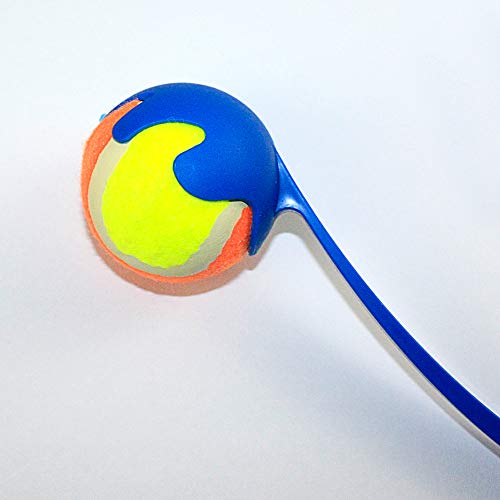 DI ZE LIN PET HOME DZL® Lanzador y Pelota de Tenis Color Entrega al Azar (65CM, Aleatorio)