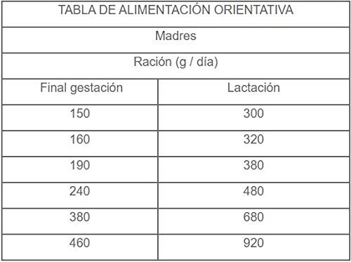 DIBAQ NATURAL MOMENTS Puppy Medium. Alimento Natural para Cachorros de Razas Medianas de Pollo y Pavo. 15 Kg.