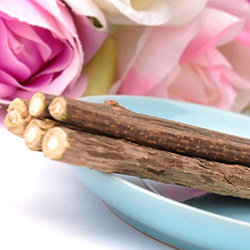Dientes de Limpieza de Gato Natural Catnip Pet Cat Molar Pasta de Dientes Stick Matatabi Actinidia Fruit Silvervine Cat Snacks Sticks