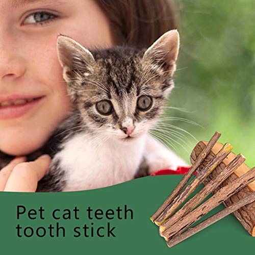 Dientes de Limpieza de Gato Natural Catnip Pet Cat Molar Pasta de Dientes Stick Matatabi Actinidia Fruit Silvervine Cat Snacks Sticks
